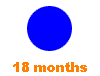  18 months 