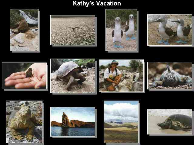 Vacation Photos