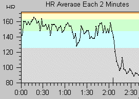 Bob's heart rate during the race